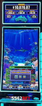 Descubra o Mundo do Cassino Online com 5542bet